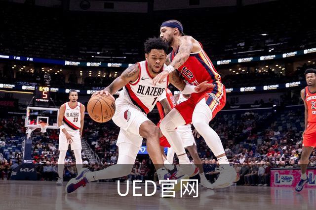 UED官网公司简介图